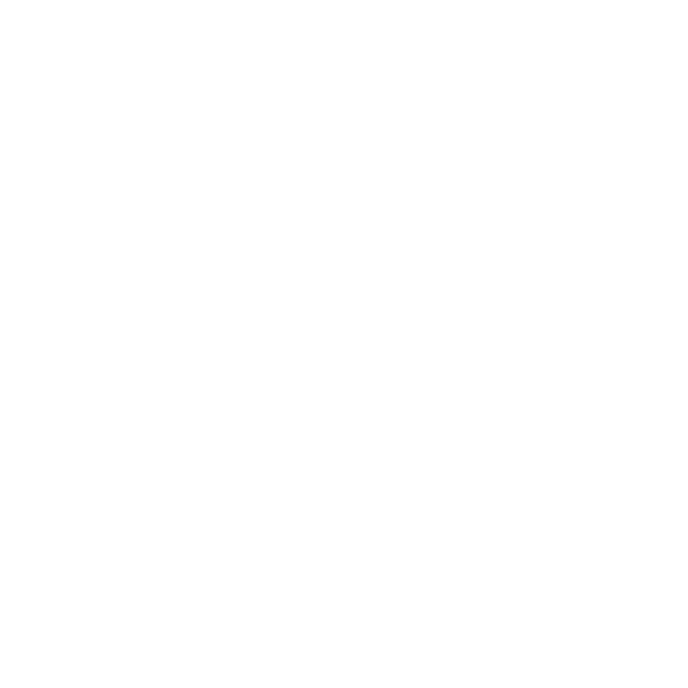 inExcelsis
